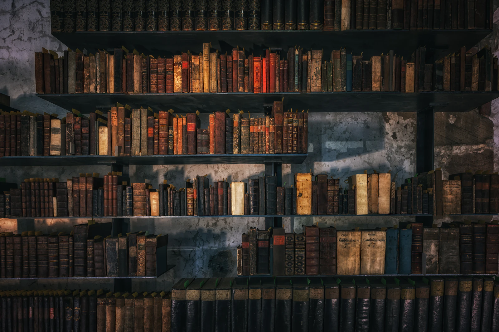 Стена старинных книг для подготовки апелляции